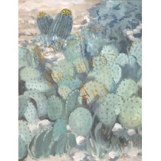 Shell's Garden Shell's Garden